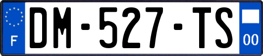 DM-527-TS
