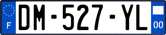 DM-527-YL