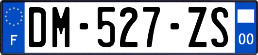 DM-527-ZS