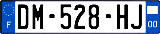 DM-528-HJ