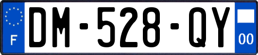 DM-528-QY