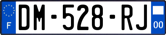DM-528-RJ