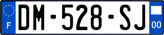 DM-528-SJ