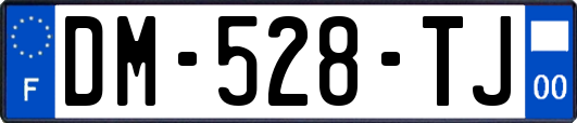 DM-528-TJ
