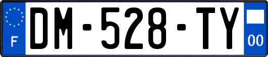 DM-528-TY