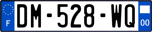 DM-528-WQ