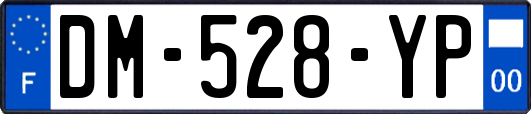 DM-528-YP