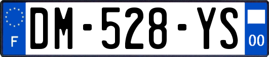 DM-528-YS