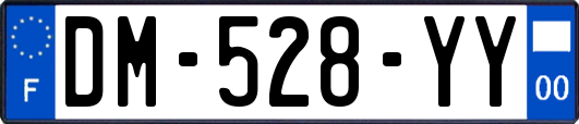 DM-528-YY