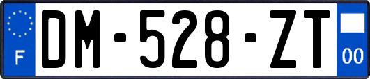 DM-528-ZT