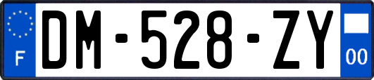 DM-528-ZY