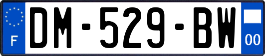 DM-529-BW