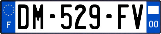 DM-529-FV