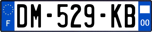 DM-529-KB