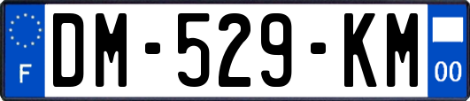 DM-529-KM