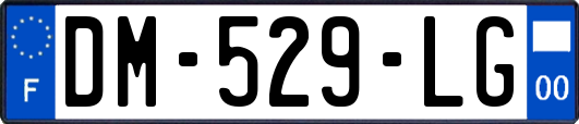 DM-529-LG