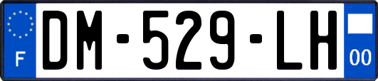 DM-529-LH
