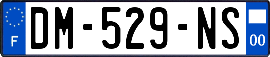 DM-529-NS