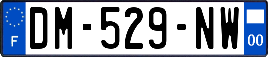 DM-529-NW