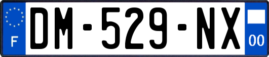 DM-529-NX