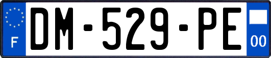 DM-529-PE