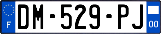 DM-529-PJ