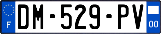 DM-529-PV