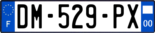 DM-529-PX