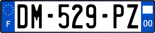 DM-529-PZ