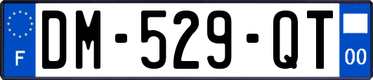 DM-529-QT