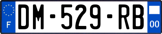 DM-529-RB