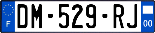 DM-529-RJ