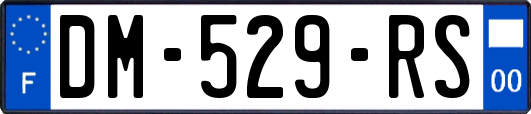 DM-529-RS