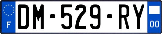 DM-529-RY