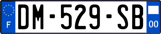 DM-529-SB