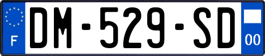 DM-529-SD