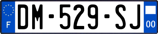 DM-529-SJ