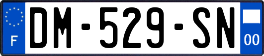 DM-529-SN