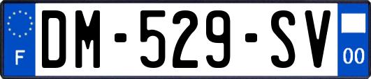 DM-529-SV