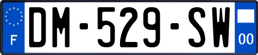 DM-529-SW