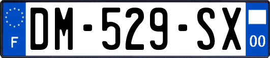 DM-529-SX