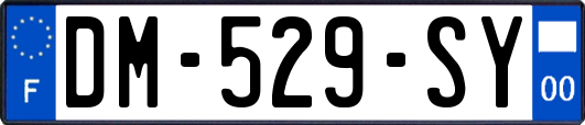 DM-529-SY