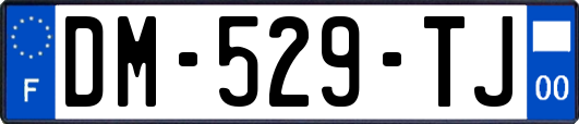 DM-529-TJ