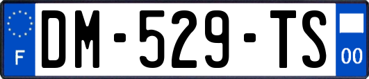 DM-529-TS