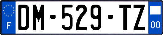 DM-529-TZ