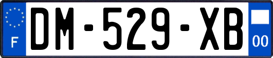 DM-529-XB