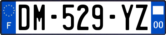 DM-529-YZ