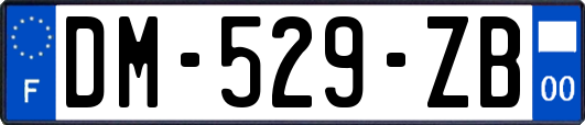 DM-529-ZB