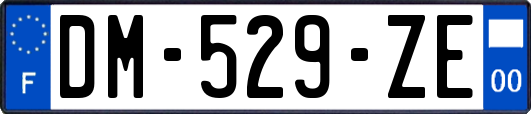 DM-529-ZE