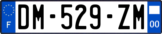 DM-529-ZM